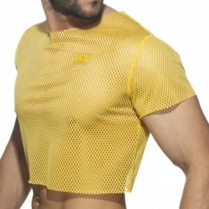 Addicted Mesh Crop Top - Yellow