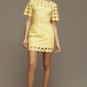 By Anthropologie Cutwork Shift Mini Dress