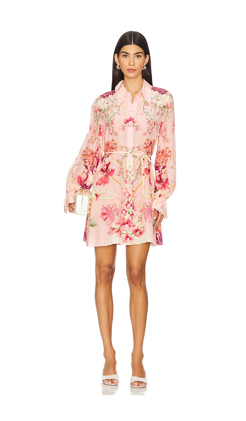 Camilla Shift Shirt Dress in Pink. Size L, XL.