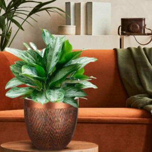 Concrete Effect Indoor Plant Pot, Indoor Planter with Metallic Looks, Small Flower Pot with Mesh Pattern D26.5 H24.5 cm, with Inner Top D22.5 cm, 13 l