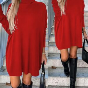 High Neck Long Sleeve Knit Sweater Dress