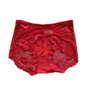 (Red, L) Women Sexy Underwear Lace Mesh Briefs Lingerie Panties Clothes Accessory