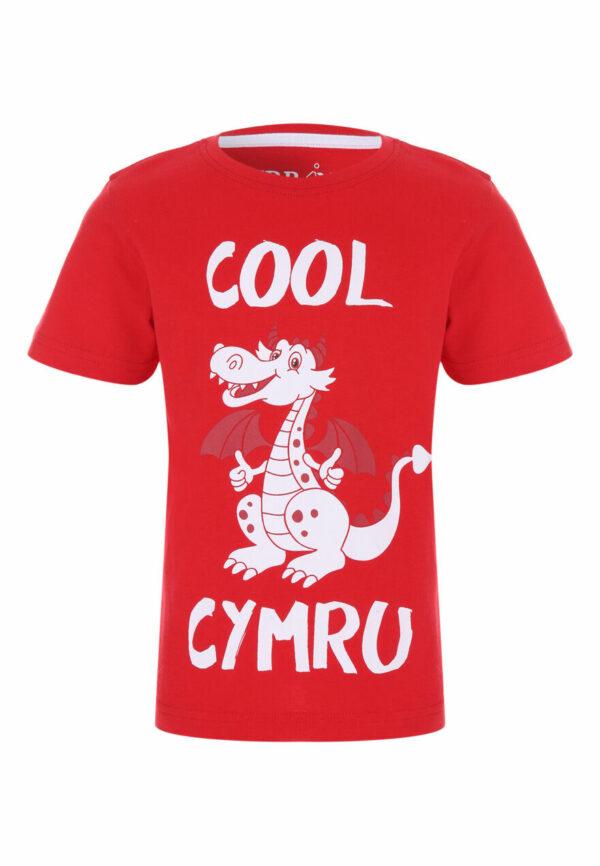 Younger Boys Red Cool Cymru T-Shirt