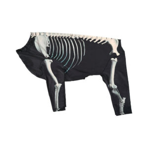 (2XL) Skeleton Design Pet Dogs High Resilience Halloween Costume Party Outfit Dress