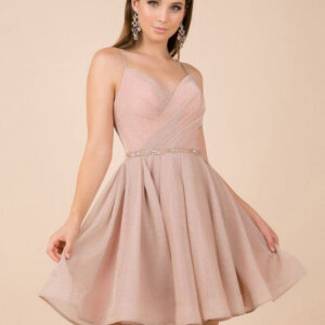 Pink Prom Dress A-Line V-Neck Sleeveless Backless Bright Silk Chiffon Sleeveless Sash Short Pageant Dresses