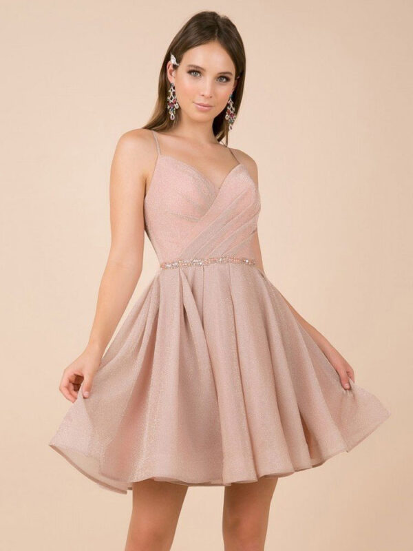 Pink Prom Dress A-Line V-Neck Sleeveless Backless Bright Silk Chiffon Sleeveless Sash Short Pageant Dresses