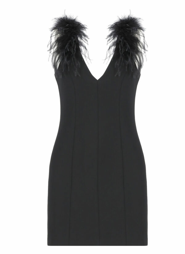 Pinko Sheath Dress With Feathers