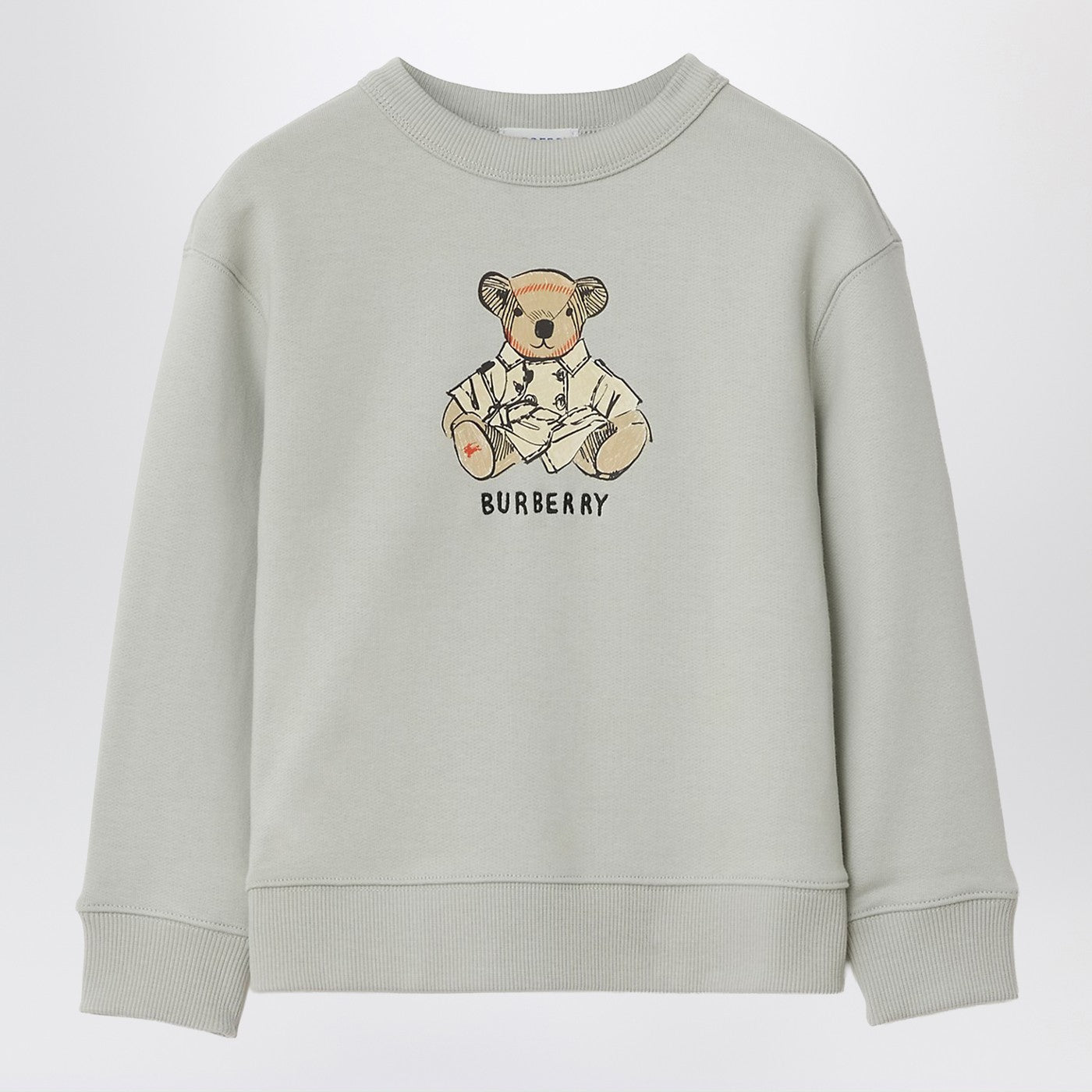 Limestone gray sweatshirt with bear wearing trench coat