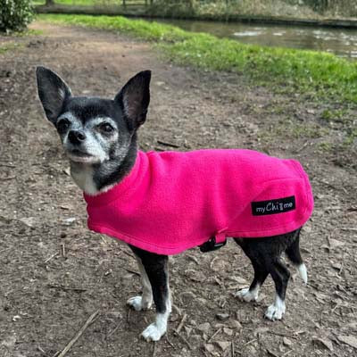 Tiny Toastie Water Repellent Fleece Dog Coat by My Chi and Me Hot Pink - Medium - Fits Like EXTRA SMALL