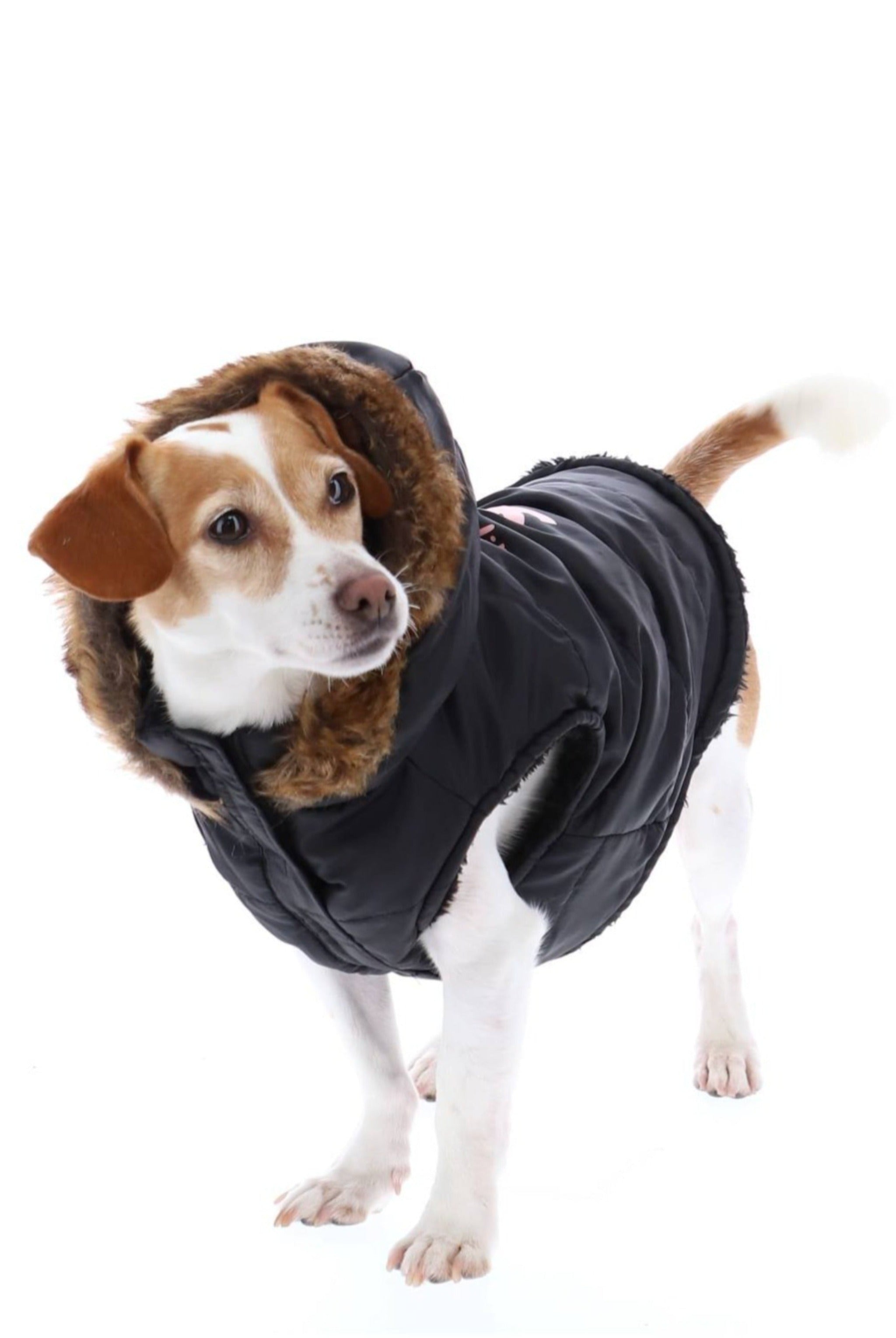 PET BLACK PUFFER COA S - -S Black