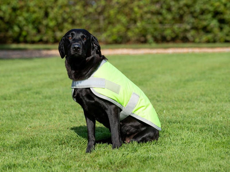 Waterproof Dog Coat - High Viz Yellow - "