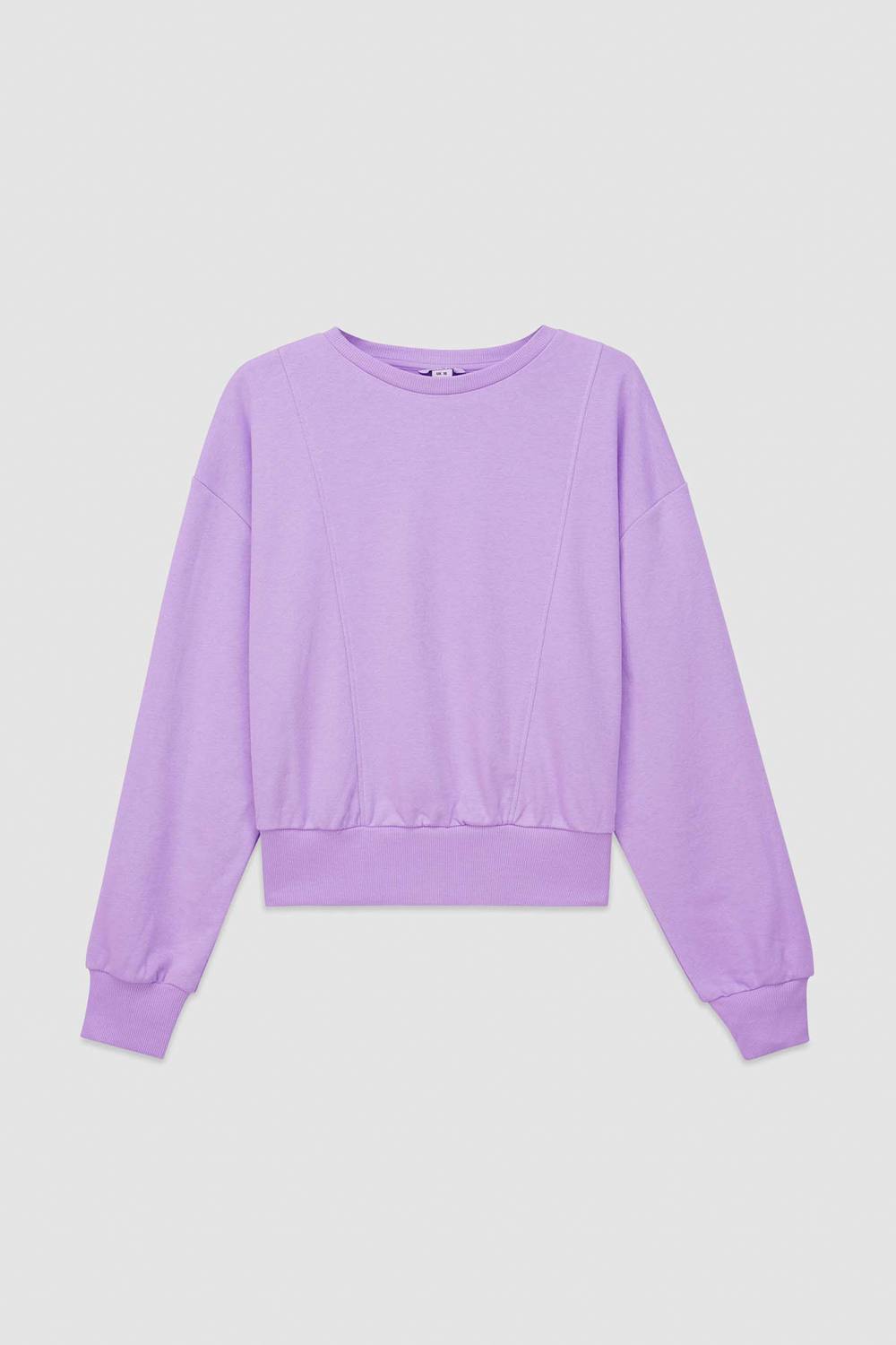 Enorsia Crop Top Sweatshirt In Purple