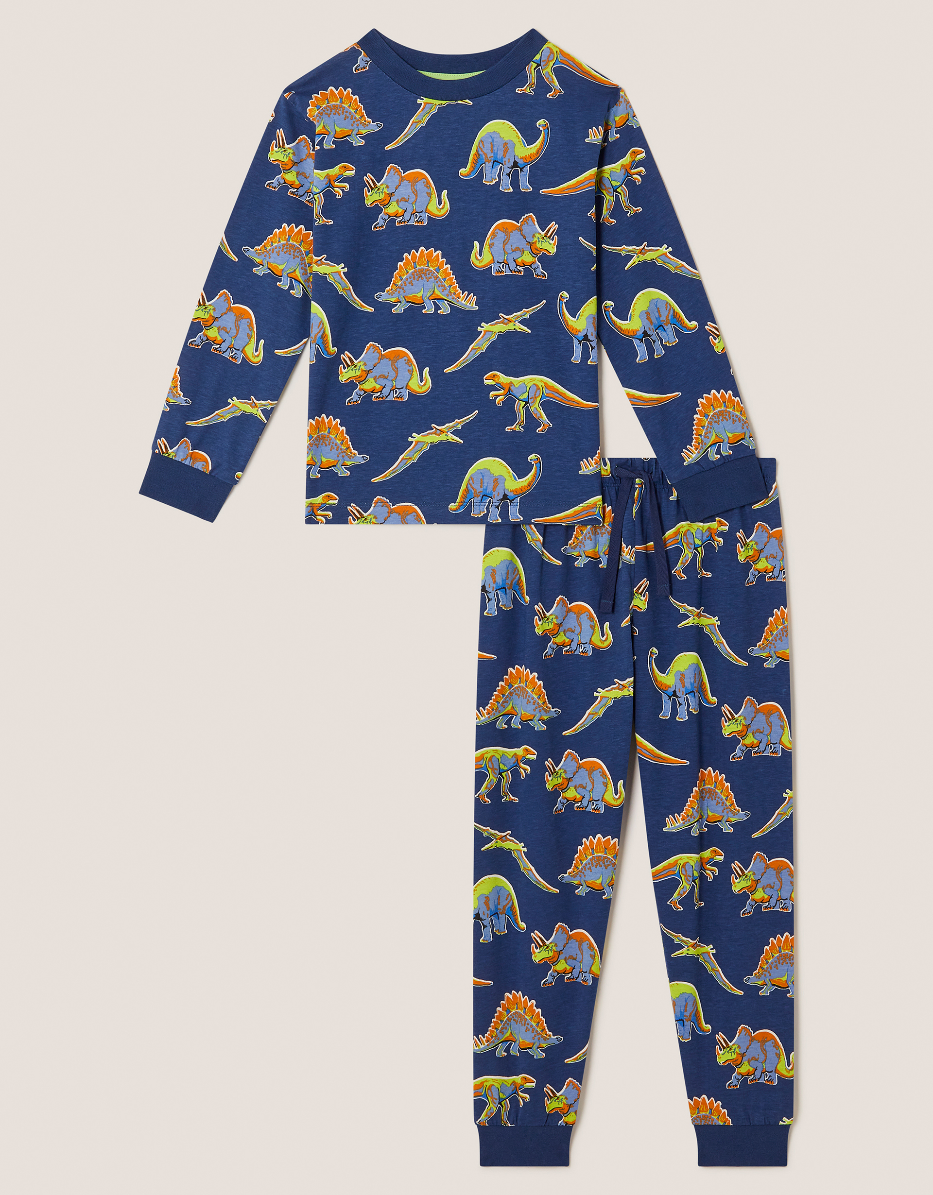 Dinosaur Print Long Pyjamas Set Blue