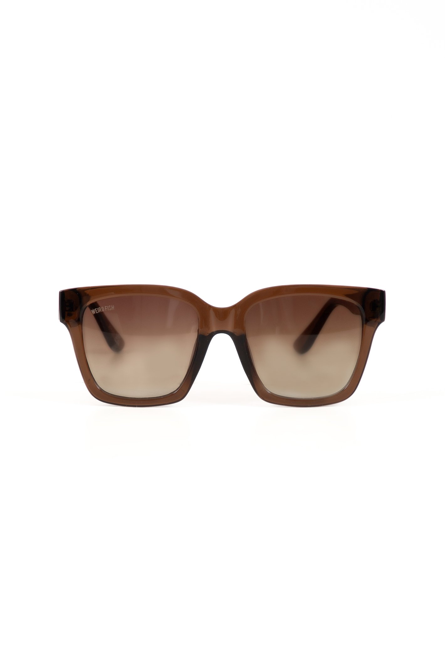 Weird Fish Torvill Sunglasses Brown Size ONE