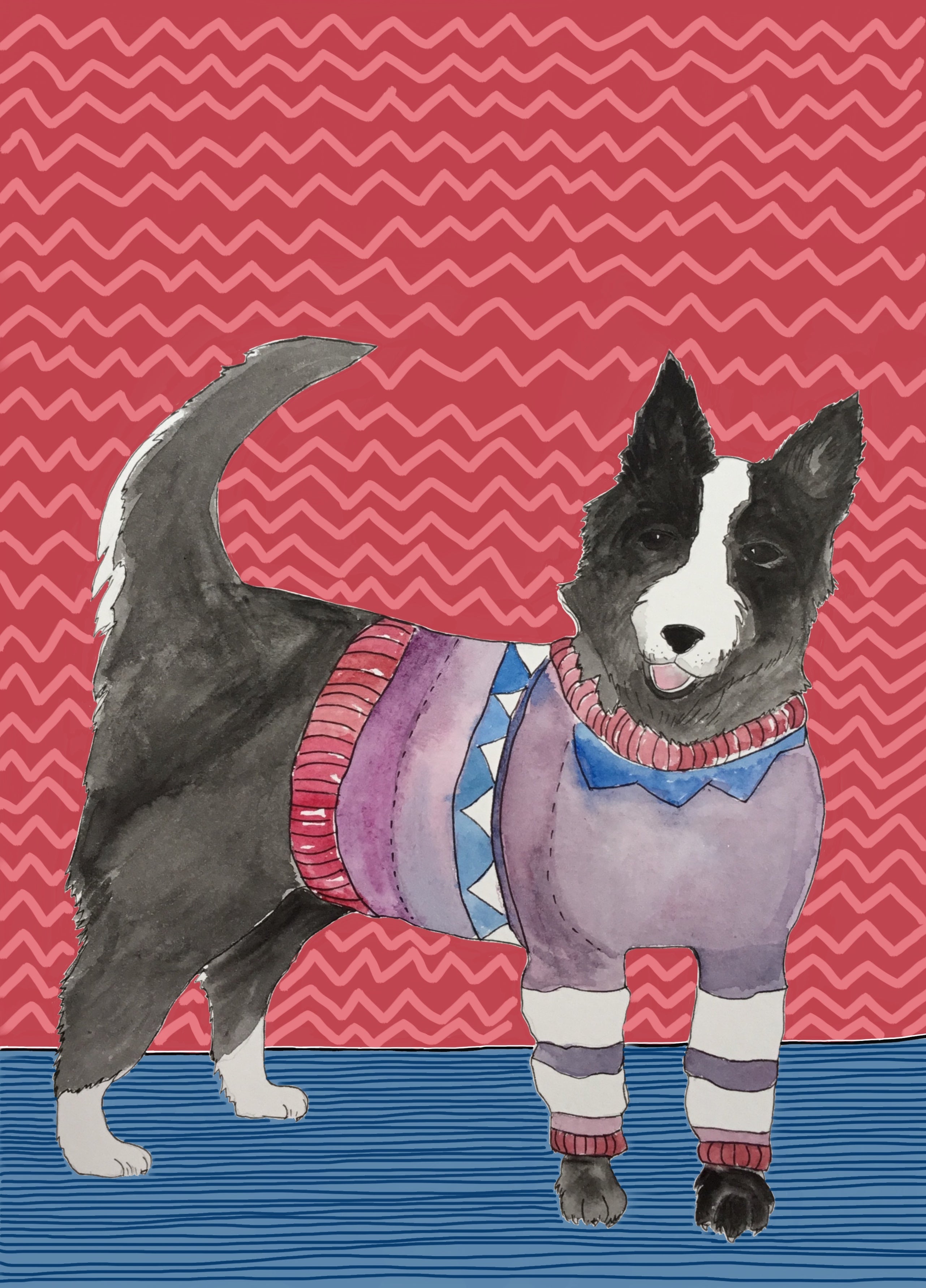 Border Collie In A Stripy Jumper - Large mm x mm