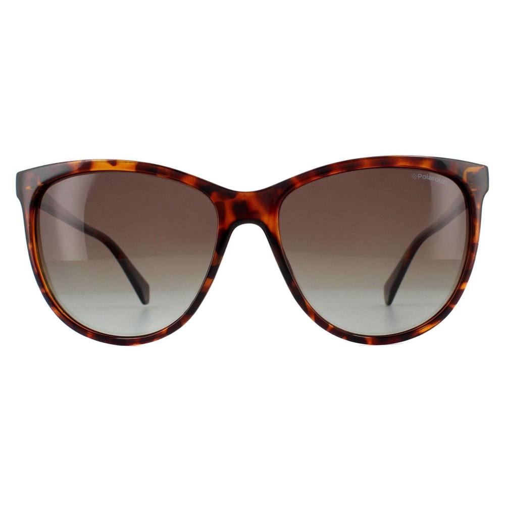 Polaroid Square Dark Havana Brown Polarized Sunglasses