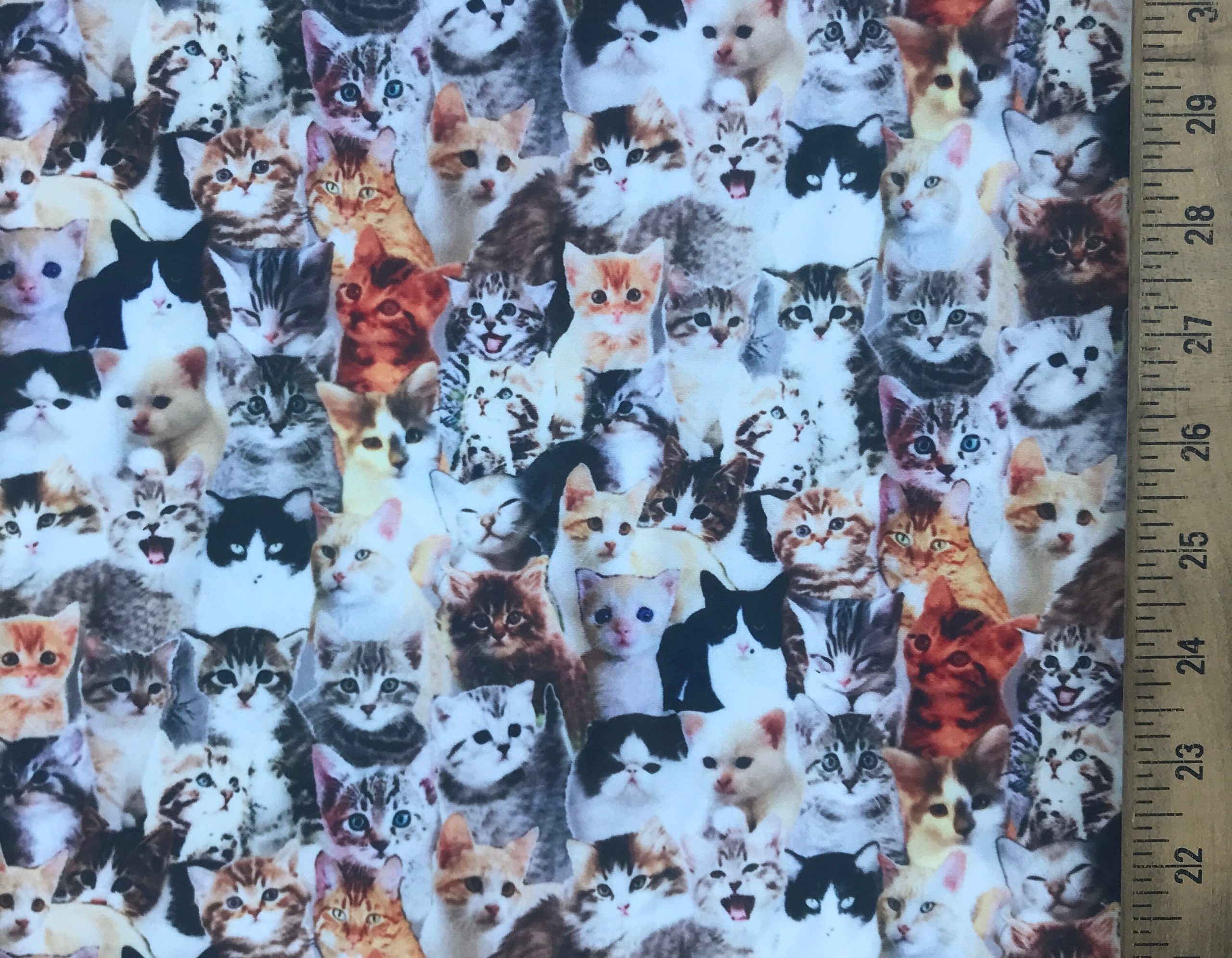 Polyester Spandex Fabric, White Gold Brown Black - Cute Multiple Kittens Design 12 X 58 in Perfect For Leotards, Activewear, Baby Bows Etc