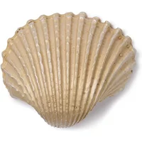 Bronze Shell Brooch